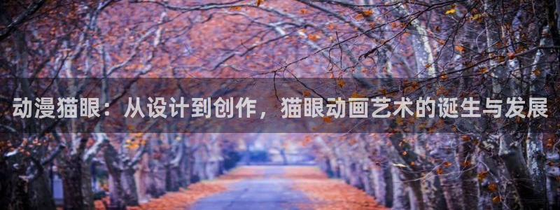 风车动漫(p_专注动漫的门：动漫猫眼：从设计到创作，猫眼动画艺术的诞生与发展