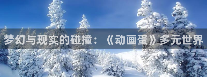 ねぇしよ风车动漫：梦幻与现实的碰撞：《动画蛋》多元世界