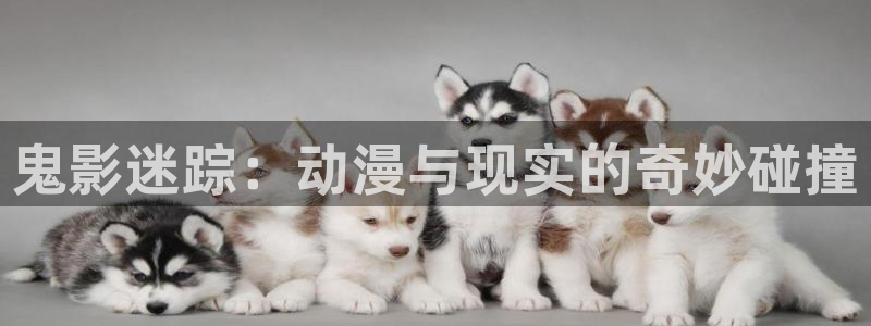 风车动漫immionne官网：鬼影迷踪：动漫与现实的奇妙碰撞