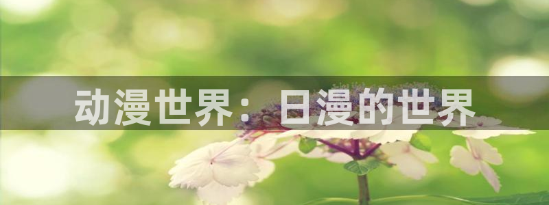魔装学园风车动漫：动漫世界：日漫的世界