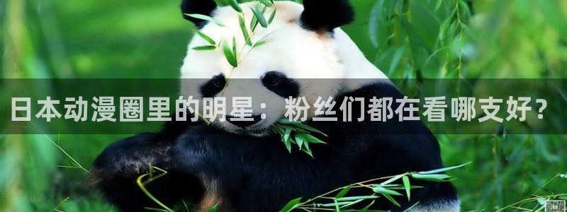 风车动漫门户：日本动漫圈里的明星：粉丝们都在看哪支好？